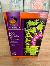 Home Accents 100 Mini Purple Lights -Halloween Decoration - Indoor/Outdoor New