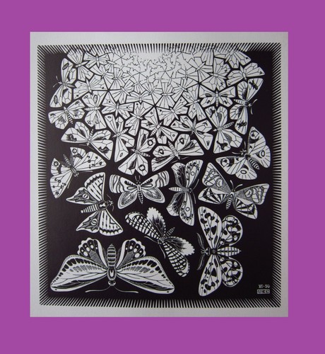 MC Escher Butterflies Realism & Optical Illusions 11x8" Graphic Art Print - Picture 6 of 8