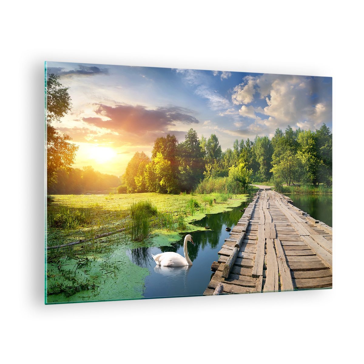 Quadro su Vetro 70x50cm architettura lungomare Cigno Paesaggio Stampe Murale