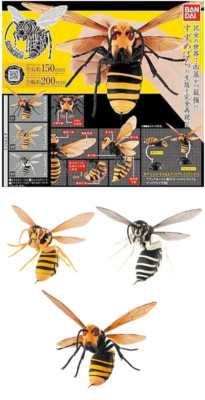 Bandai Wasp Hornet Figur komplett alle 3er Set Gashapon Kapsel Spielzeug 2020