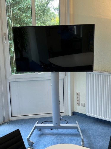 LG TV 55 Zoll auf Standfuss