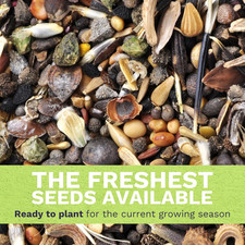 Midwest Regional Mix - Large 1 Ounce Packet - 15,000 Flower Seeds for Plantin... 359.68 per gallon