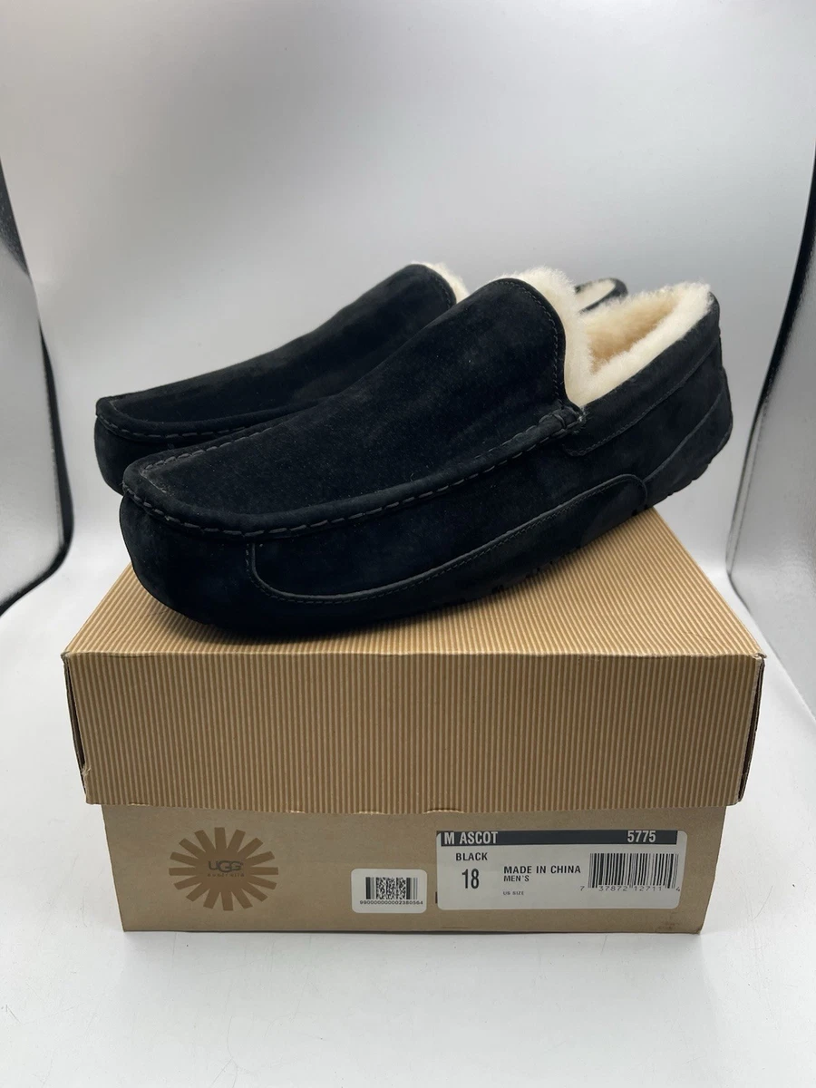 UGG Mens Ascot Slipper Black Suede Size 18 Has A Spot. Amazon.com | UGG Men main image 3
