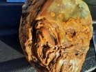 Sumatran/Indonesian Agate! Rough Chunk! Over 3 lbs! — photo 10