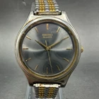 Seiko Watch Men 32mm Gray Dial Two Tone Round Vintage V701-1V39 New Battery