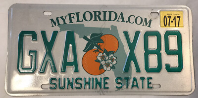 Florida Sunshine State license Plate Oranges USA Florida State GXA