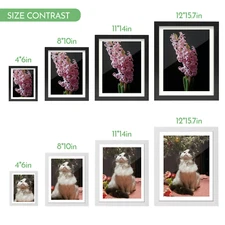 4x6 8x10 11x14 12x16 Wood Photo Frame Set Wall Mount Tabletop Poster Display 