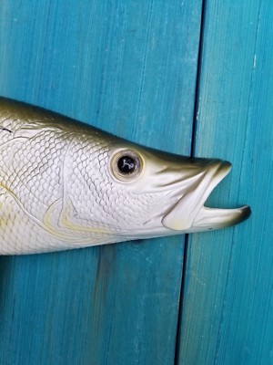 Snook Hand Painted 19