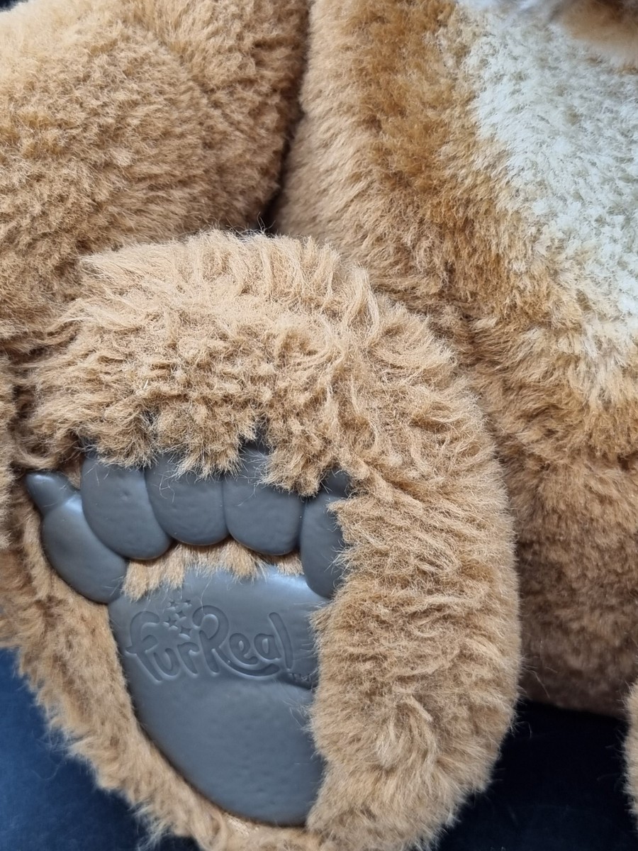 AV7⚜️ Peluche Doudou Interactive Cubby L'ours curieux Ourson Très Doux Fur Real | eBay