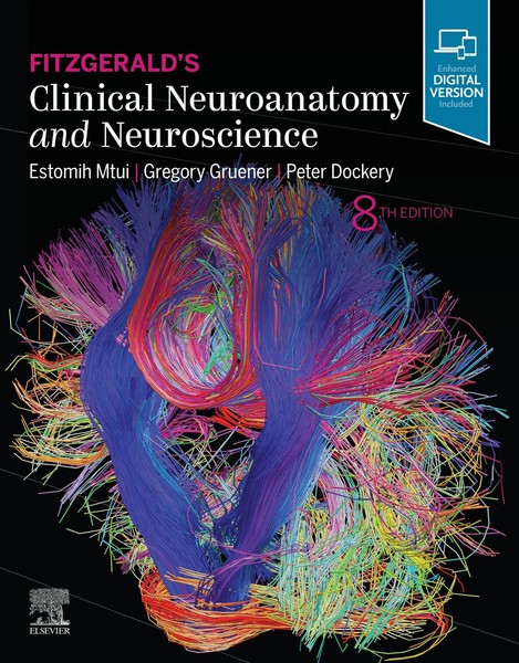 Estomih Mtui (U. A.) | Fitzgerald's Clinical Neuroanatomy And Neuroscience-image