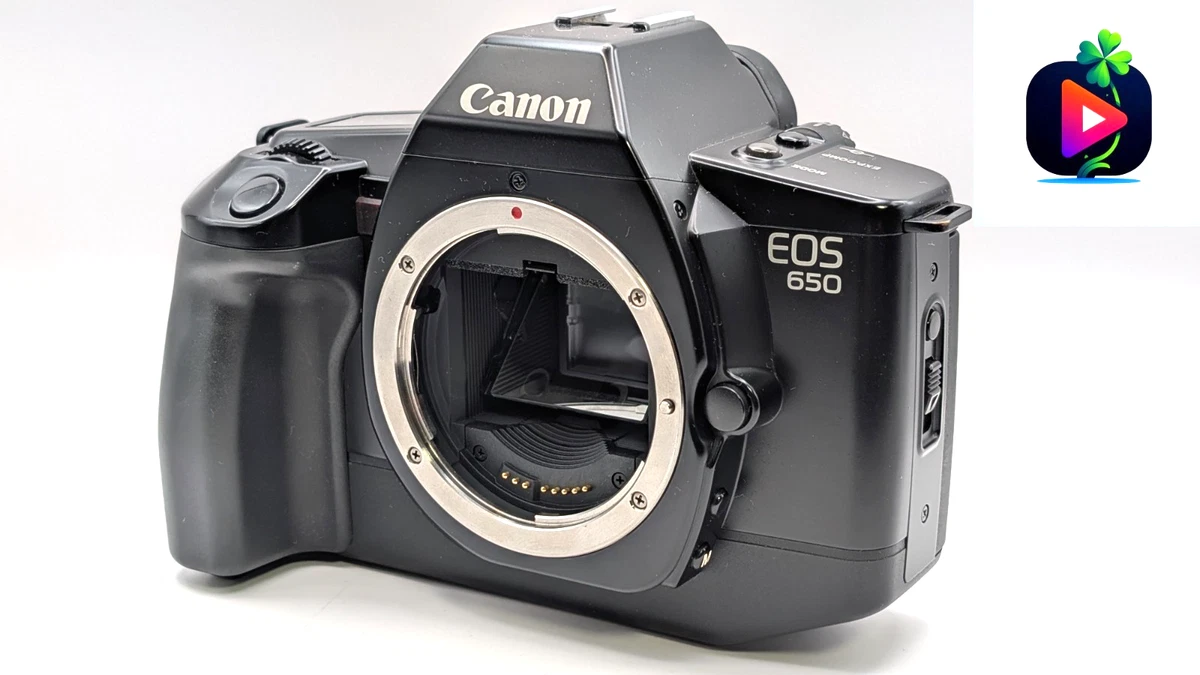 EOS650 キャノン Canon EOS 650 35MM SLR Film Body Only (Renewed) : Amazon.ca