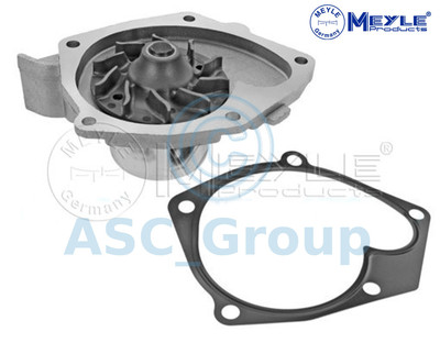 Meyle 213 220 0022 Pompa Acqua Raffreddamento Motore per Opel Fiat Ford Lancia