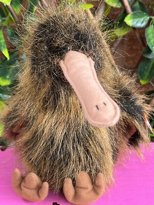 Ty BIRD BEANIE BUDDY BEAK Native New Zealand kiwi 26Cm 1998 Retired TAG UNBENUTZT