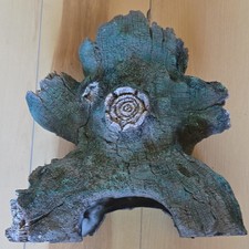 Polyresin Faux Tree Stump/Log Cave Aquarium Ornament Hideout Brown Green Gray