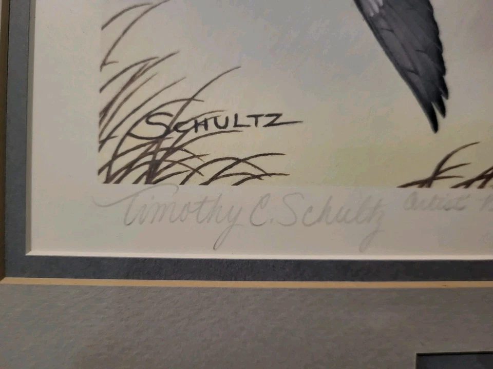 1981 WISCONSIN - State Duck Stamp Print **TIMOTHY SCHULTZ** ARTIST PROOF 125/150 - Image 4 of 4