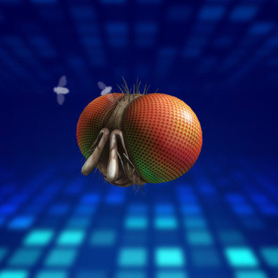 R0BLOX Toy Code - Freaky Fly Face | With Special Effect