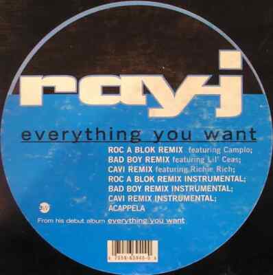 Ray J Everything You Want Vinyl Single 12inch NEAR MINT EastWest Records Amer