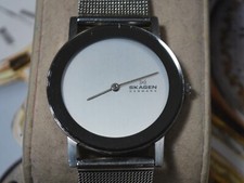 Nice SKAGEN Stainless Steel Lady's Dress Watch