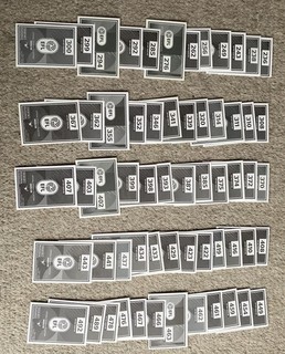 Panini EFL 2025/2026 Stickers Bundle (with no duplicates) 179 Stickers