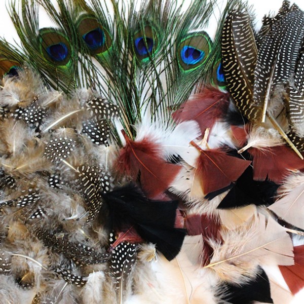 Natural Feathers Assorted Pack of Peacock, Quill, Speckled, Natural  Feathers