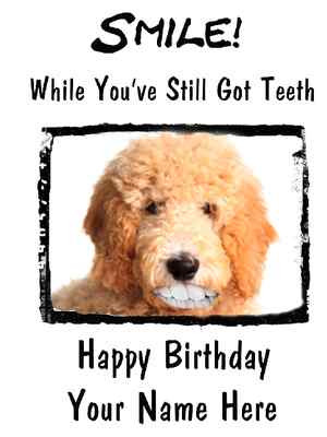 Goldendoodle Dog Happy Birthday Card Smile Teeth27 A5 Personalised Greetings Ebay - 