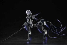 Snail Shell PUNISHING: GRAY RAVEN Rosetta 1/1...