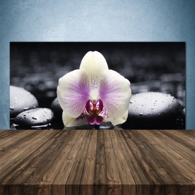 Crédence De Cuisine En Verre Floral Moderne - Dimensions 125 X 50 Cm - Motif Pierres Fleurs