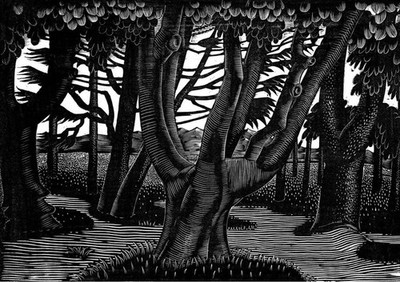 WOODLAND OUTSIDE FLORENCE von Eric Ravilious
