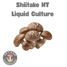 Shiitake (Heat Tolerant) Mushroom Liquid Culture - Ready to Grow Spores!