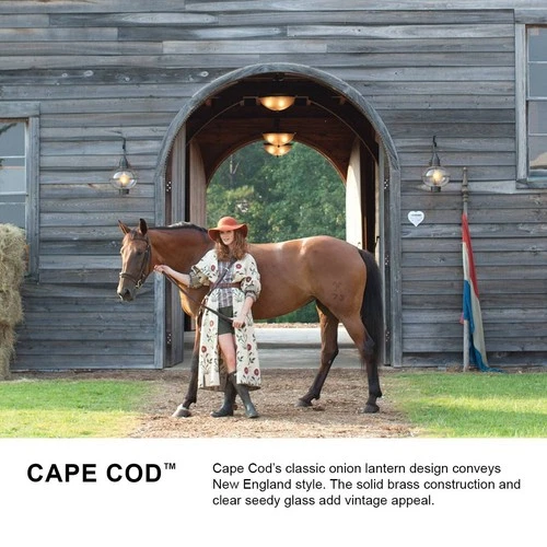 Hinkley Cape Cod 23 1/4" High Aged Zinc Outdoor Wall Light - Picture 8 of 8