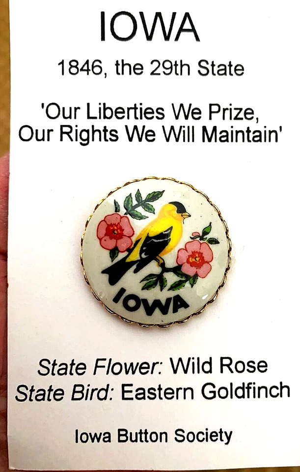 Iowa Button Society Favor Button - State Bird and Flower - Image 3 of 3