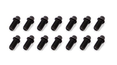 Schoenfeld Header Bolt 3/8-16x3/4in 5/16 Head  14pk
