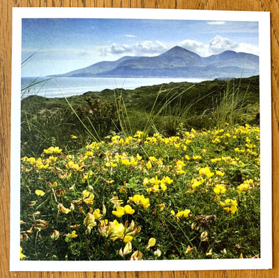 Mourne Mountains vom Murlough National Nature Reserve, County Down leere Karte