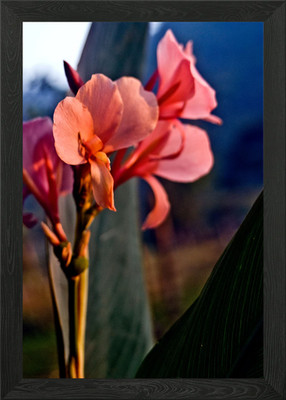Schatz des Tales Gerahmtes Wandbild Poster Leinwanddruck Bild