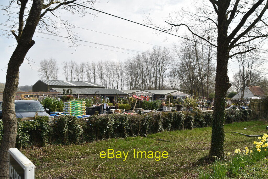 Photo 6x4 Garden Centre on A21 Hurst Green/TQ7327 c2021 eBay