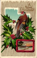 MERRY CHRISTMAS Bird on Mistletoe Embossed Postcard