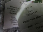 "Jellycat"   Tuffet Cat   Soft Plush Rare Extremely Hard to Find   NWT !! — photo 4