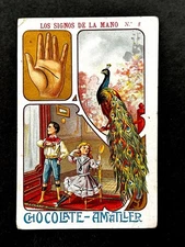 1900 Art Nouveau Palm Reading Teching #8 Card  Fortune Telling Palmistry Occult