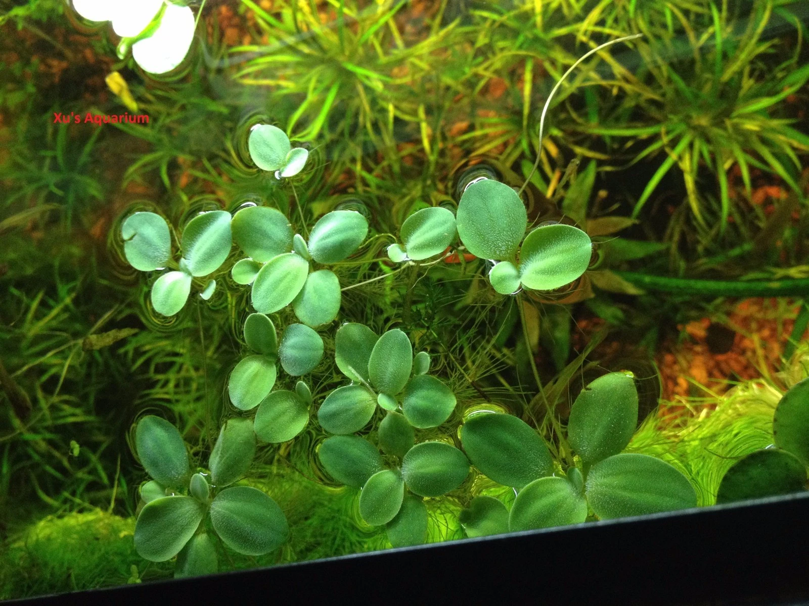 Picture 2 of 4
