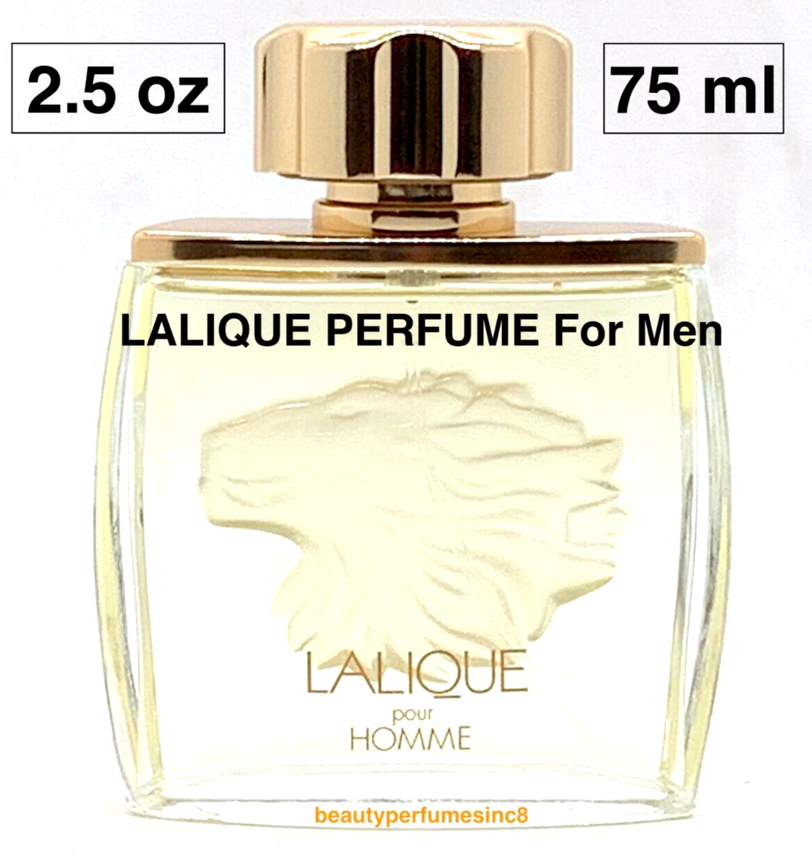Lalique Pour Homme 