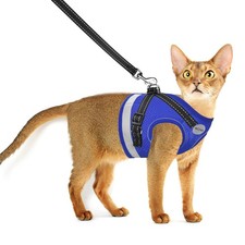 Cat Harness and Leash for Walking, Kitten Escape Proof Harnesses, Adjustable ...