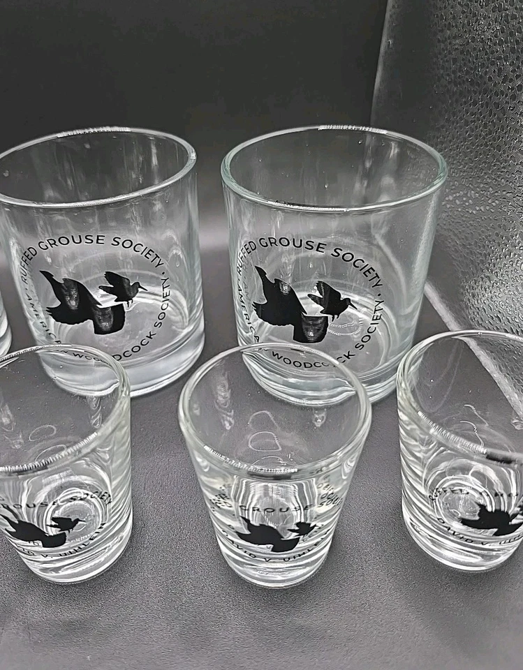 Ruffed Grouse Society ~ American Woodcock Society ~ Juego de 10 vasos de barra ~ Raro Foto 3 de 4