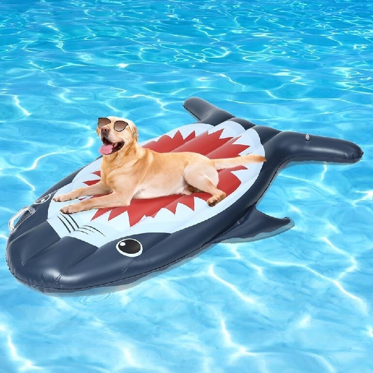 Floatable Dog DOG POOL FLOAT 59 X 27 X 4 Doggie SHARK Floatie Inflatable for Dogs | eBay