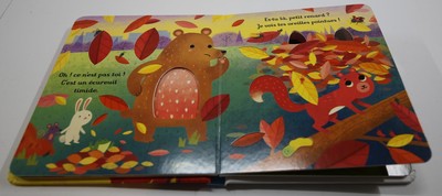 Es-tu là, petit renard ? - Mon petit cache-cache