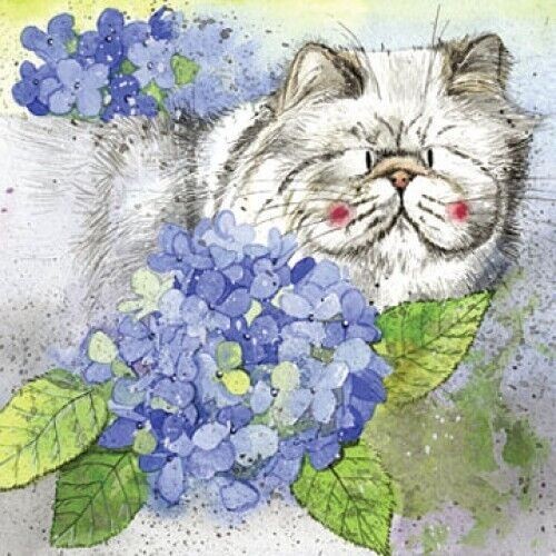funny cat card blue hydrangea card Alex Clark