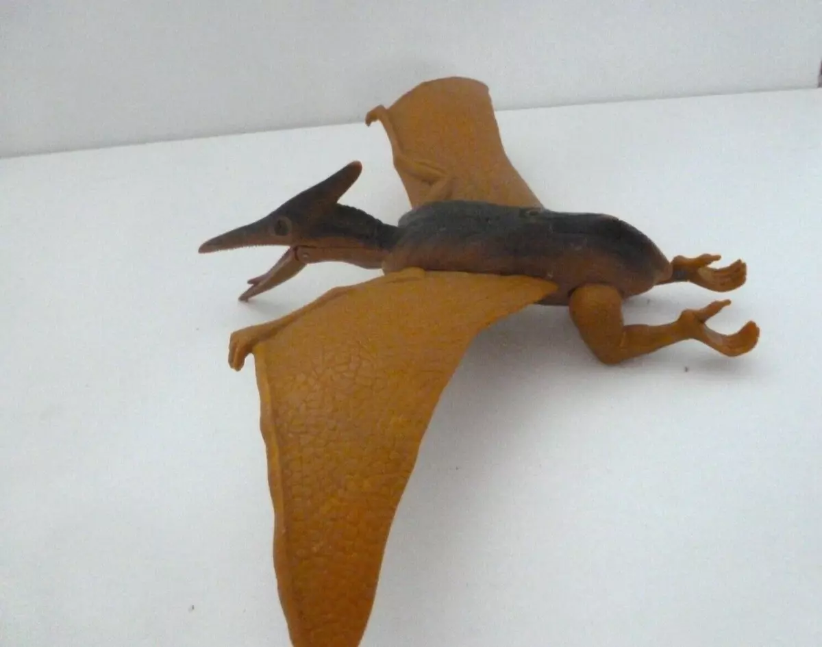 Pterodactyl light 2024