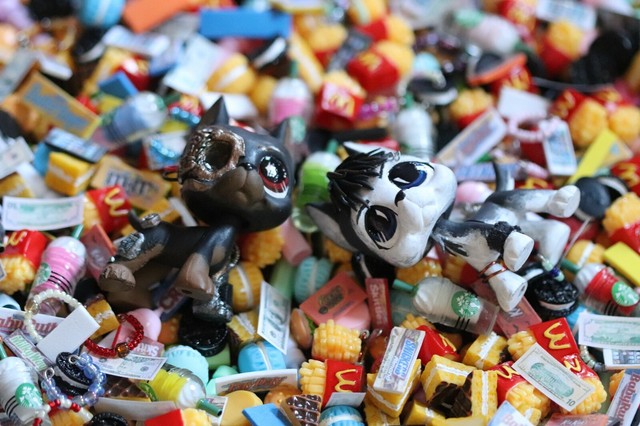 little pet shop food