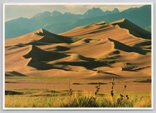 Great Sand Dunes National Monument Park Colorado Postcard