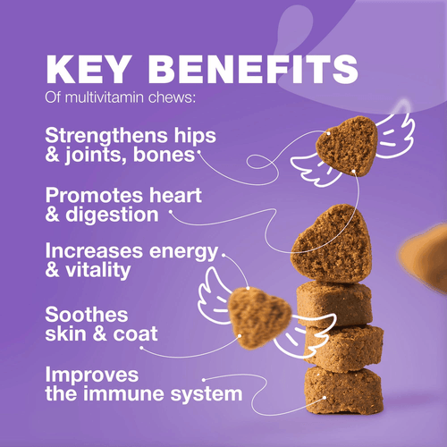 Dog Vitamins 15 in 1 Multivitamin Chews with MSM for Hip Joint Health Support - Picture 2 of 8