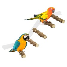Parrot Bird Perch Conure Climbing Ramp Suction Cup Acrylic Suction Cup Toy